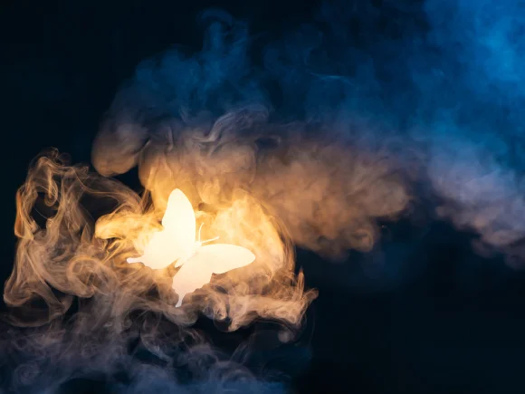 Adobe Stock Free collection: Photos, Vectors, Videos | Adobe Stock
