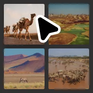 Find den rigtige video